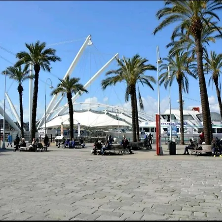 Stella ジェノヴァ